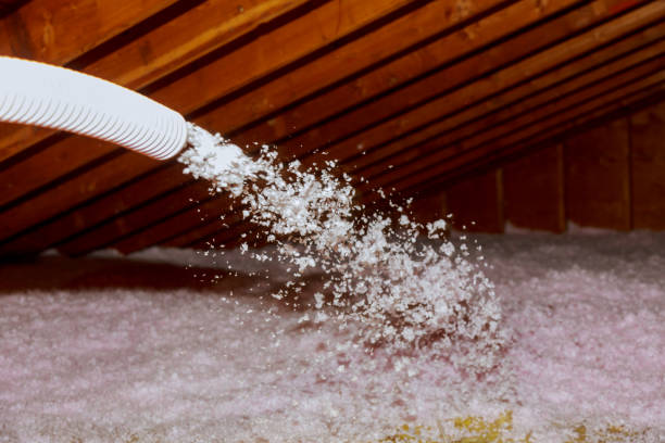 Best Insulation Installation Services in Fairview Heights, IL